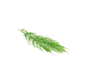 Horsetail Powder